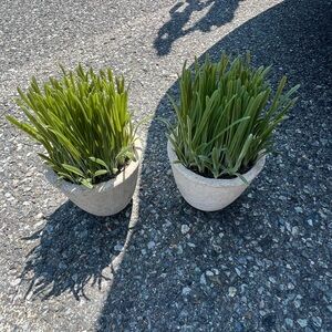 2 Cute Artificial Grass Plants In Ceramic-egg Carton Look Pots